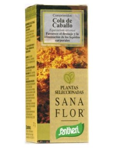 Santiveri Cola Caballo 480 Mg 65 Comp