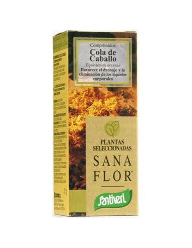 Santiveri Cola Caballo 480 Mg 65 Comp