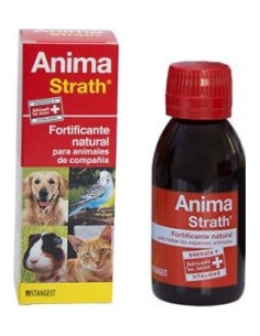 Anima Strath 100 Ml Stangest