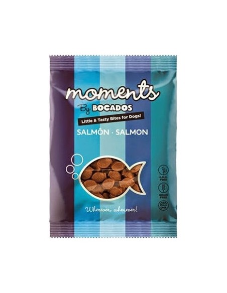 Moments Dogs Salmon 60Gr Dingonatura