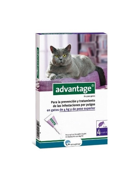 Advantage 80 Gato +4Kg 4Pip Ecuphar